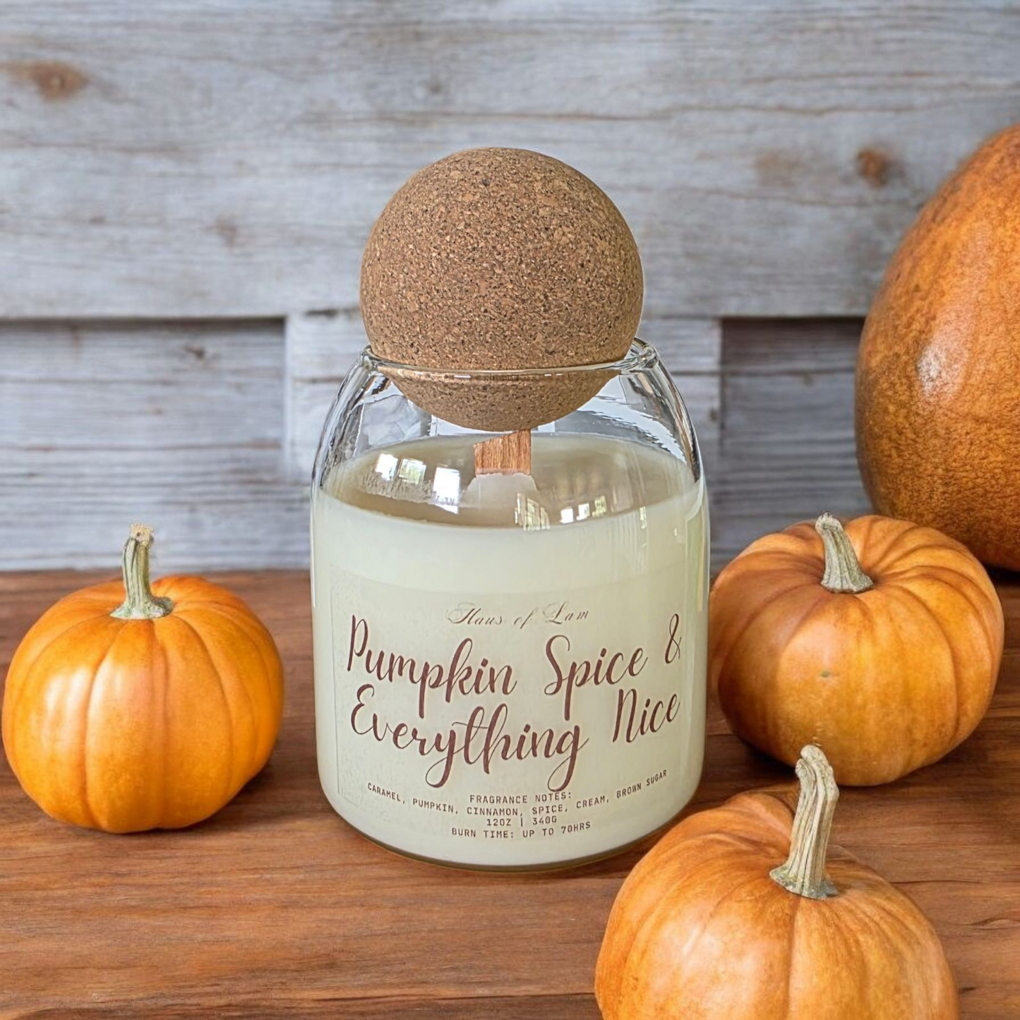 Pumpkin Spice & Everything Nice Scented Candle