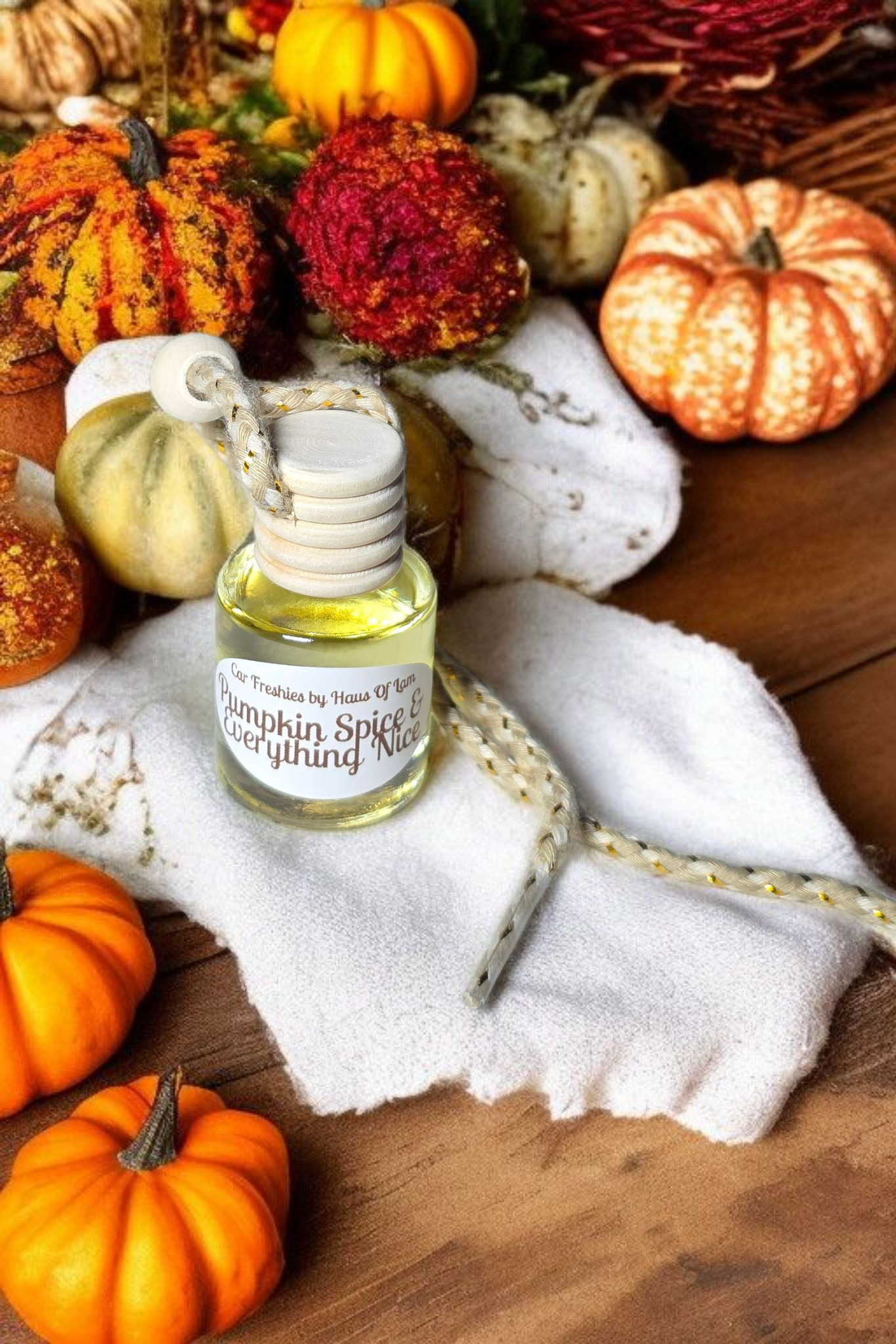 Pumpkin Spice & Everyrhing Nice Car Freshie