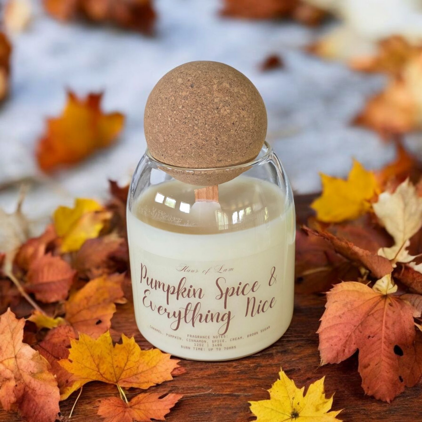 Pumpkin Spice & Everything Nice Scented Candle