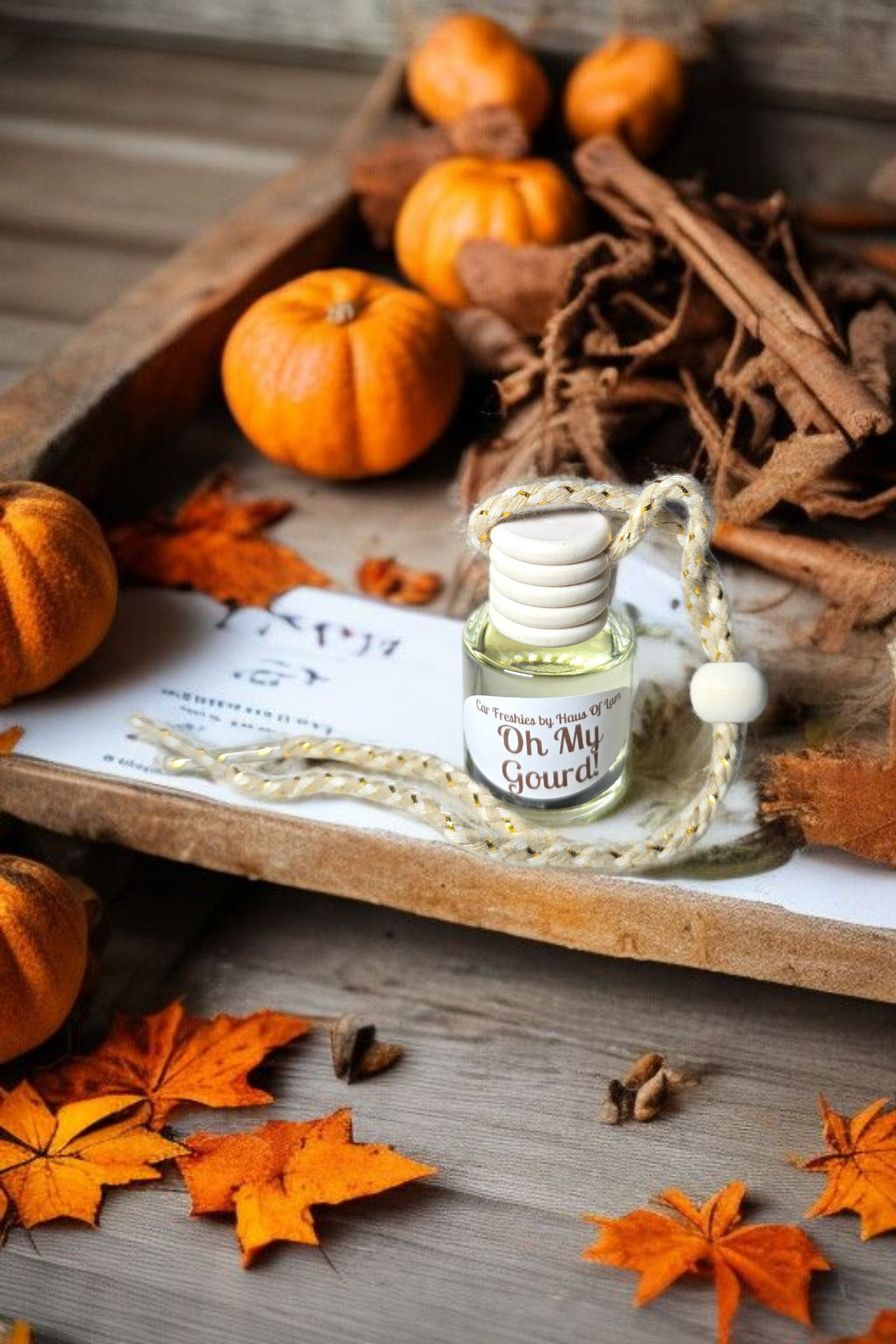 Oh My Gourd! Car Freshie