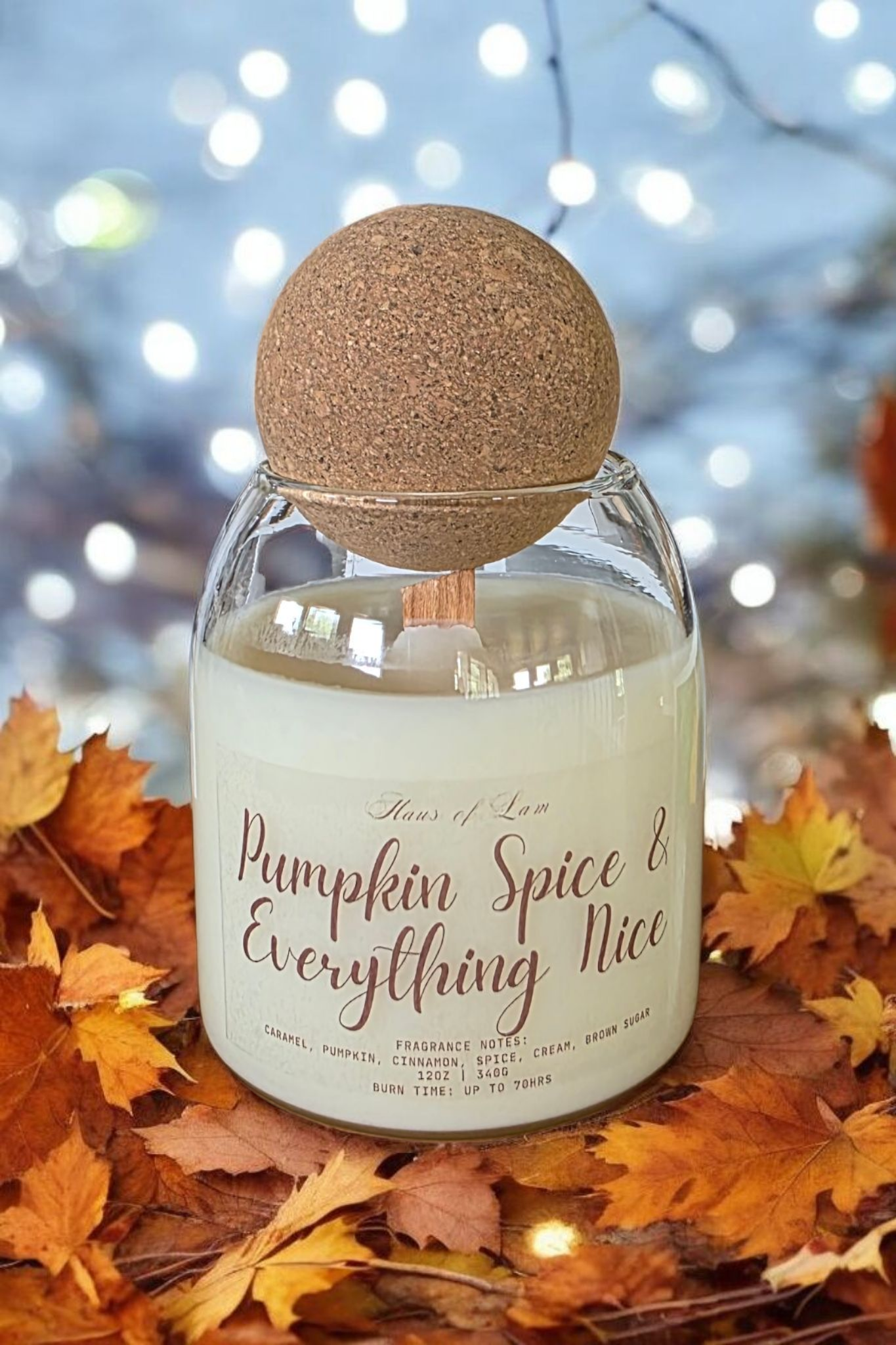 Pumpkin Spice & Everything Nice Scented Candle
