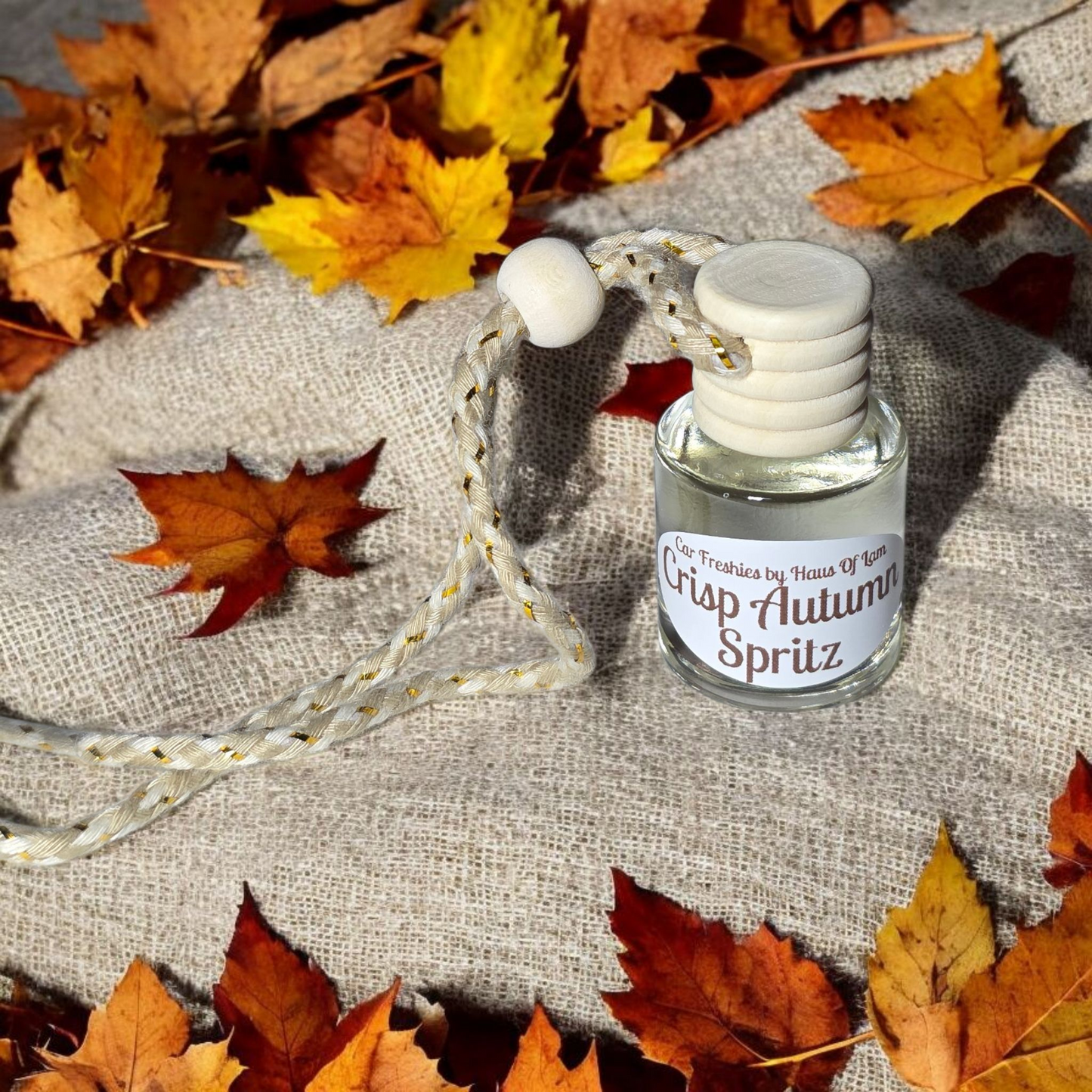 Crisp Autumn Spritz Car Freshie