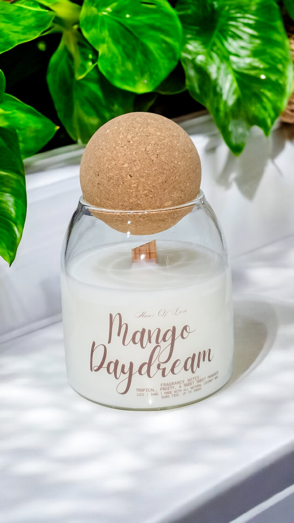 Mango Madness Scented Candle