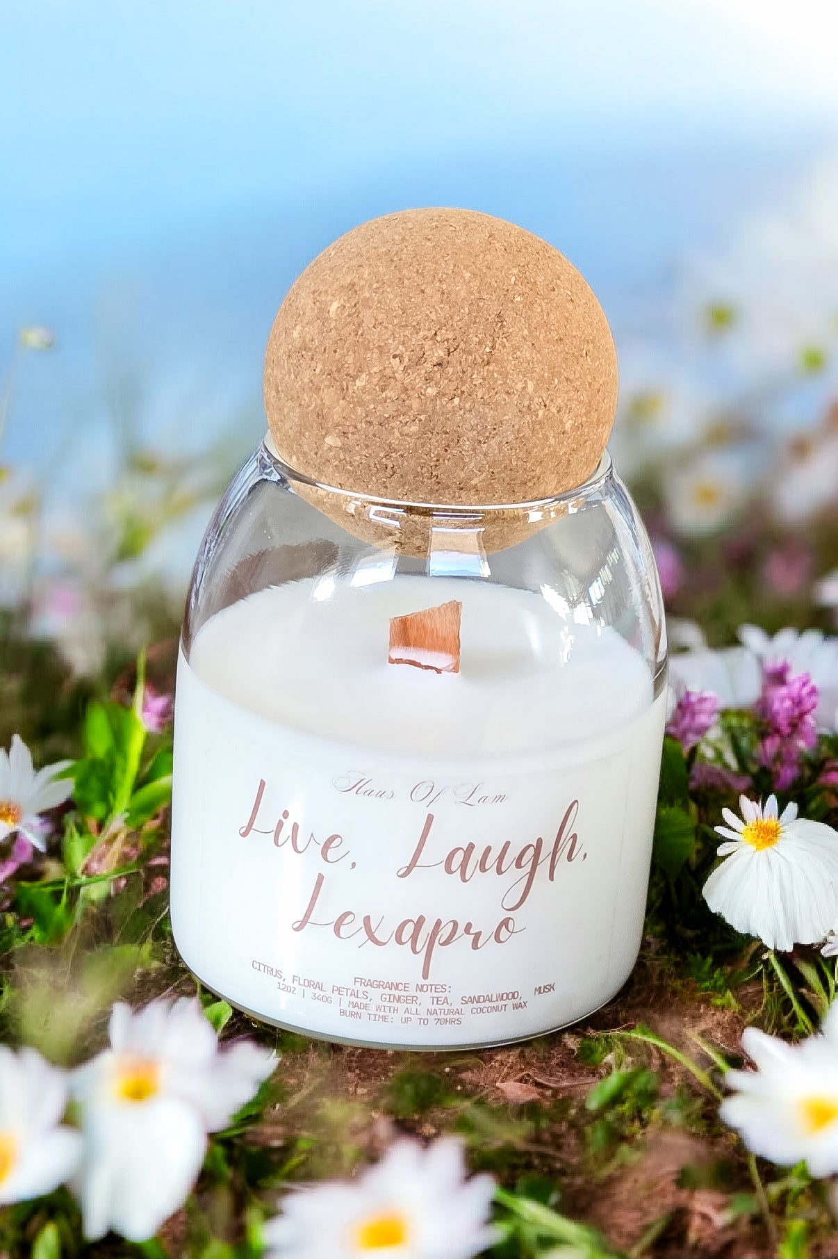 Live Laugh Lexapro Scented Candle