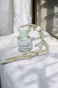 Champagne Dreams Scented Car Freshie